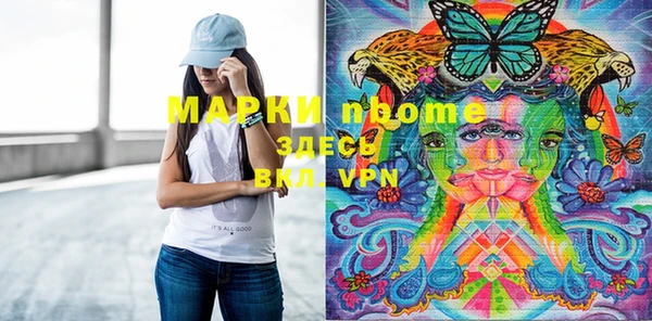 ГАЛЛЮЦИНОГЕННЫЕ ГРИБЫ Белокуриха