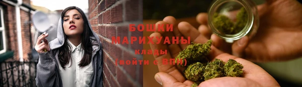 PSILOCYBIN Белоозёрский