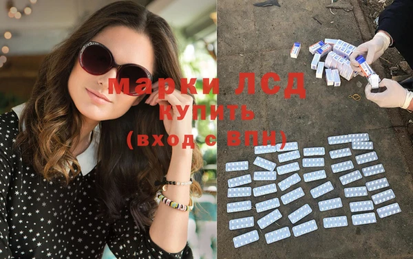ГАЛЛЮЦИНОГЕННЫЕ ГРИБЫ Белокуриха