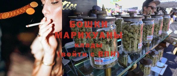 ГАЛЛЮЦИНОГЕННЫЕ ГРИБЫ Белокуриха