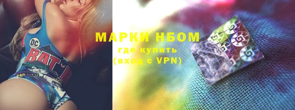 ГАЛЛЮЦИНОГЕННЫЕ ГРИБЫ Белокуриха