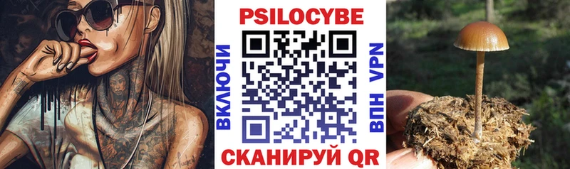 блэк спрут как войти  дарк нет клад  Галлюциногенные грибы MAGIC MUSHROOMS  Верхняя Пышма 